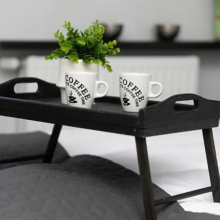 Podgorze Lipska Pet-friendly With Balcony And Parking By Renters Prestige * كراكوفيا